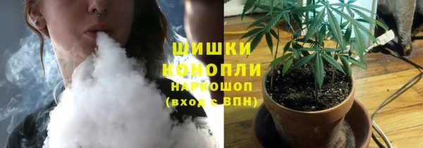 прущие грибы Балахна