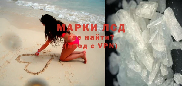 гашик Аркадак