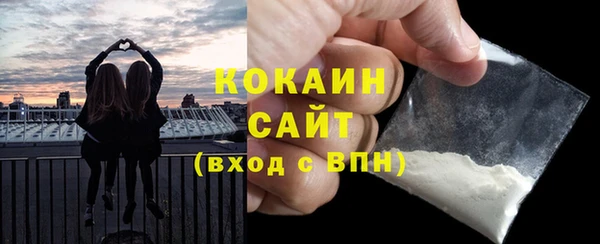 гидра Арсеньев