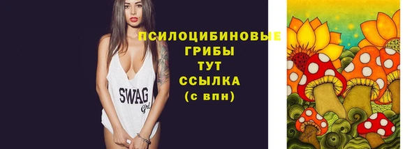 гидра Арсеньев