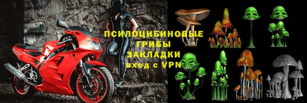 гидра Арсеньев