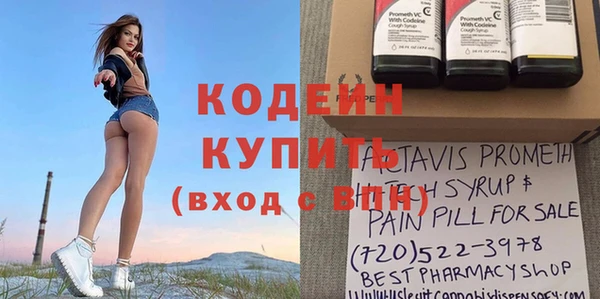 гидра Арсеньев