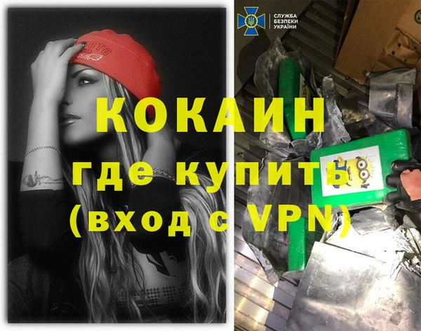 прущие грибы Балахна